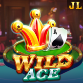 Wild Ace on 2jl